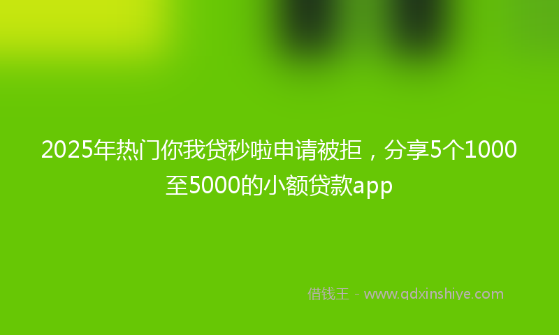 2025年热门你我贷秒啦申请被拒，分享5个1000至5000的小额贷款app