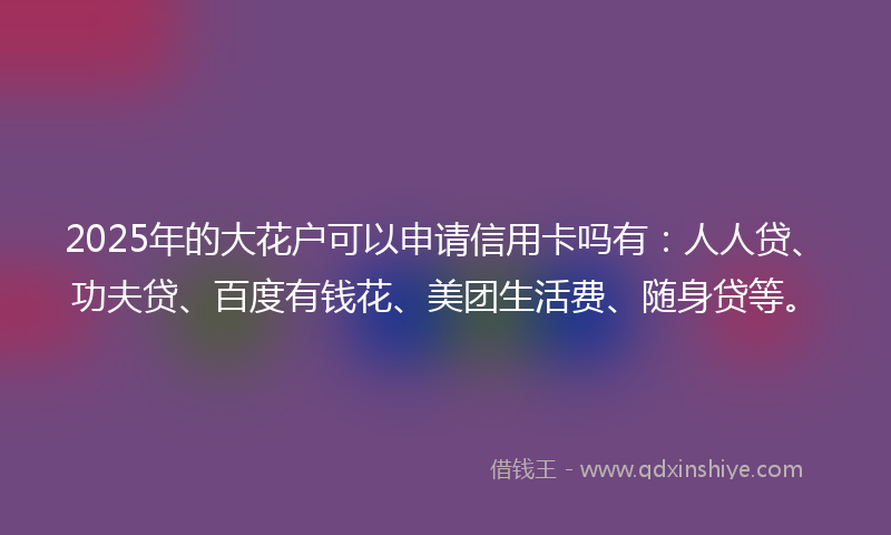 2025年的大花户可以申请信用卡吗有：人人贷、功夫贷、百度有钱花、美团生活费、随身贷等。