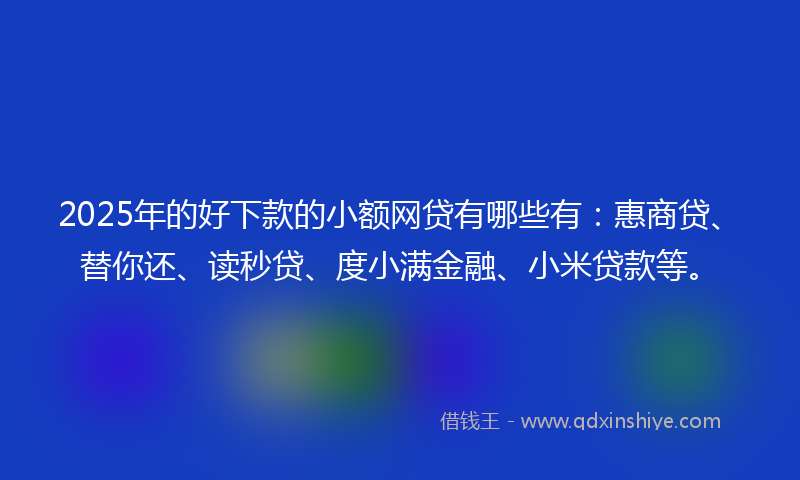 2025年的好下款的小额网贷有哪些有：惠商贷、替你还、读秒贷、度小满金融、小米贷款等。