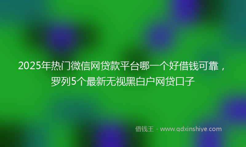 2025年热门微信网贷款平台哪一个好借钱可靠，罗列5个最新无视黑白户网贷口子