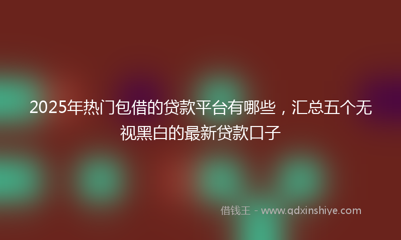 2025年热门包借的贷款平台有哪些，汇总五个无视黑白的最新贷款口子