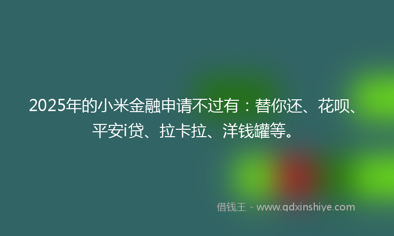 2025年的小米金融申请不过有：替你还、花呗、平安i贷、拉卡拉、洋钱罐等。