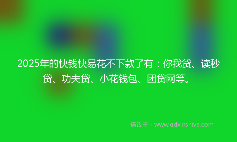 2025年的快钱快易花不下款了有：你我贷、读秒贷、功夫贷、小花钱包、团贷网等。
