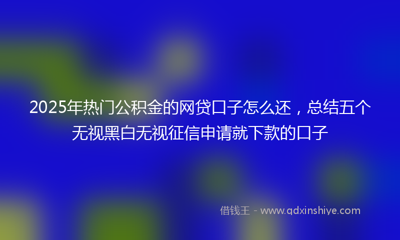 2025年热门公积金的网贷口子怎么还，总结五个无视黑白无视征信申请就下款的口子