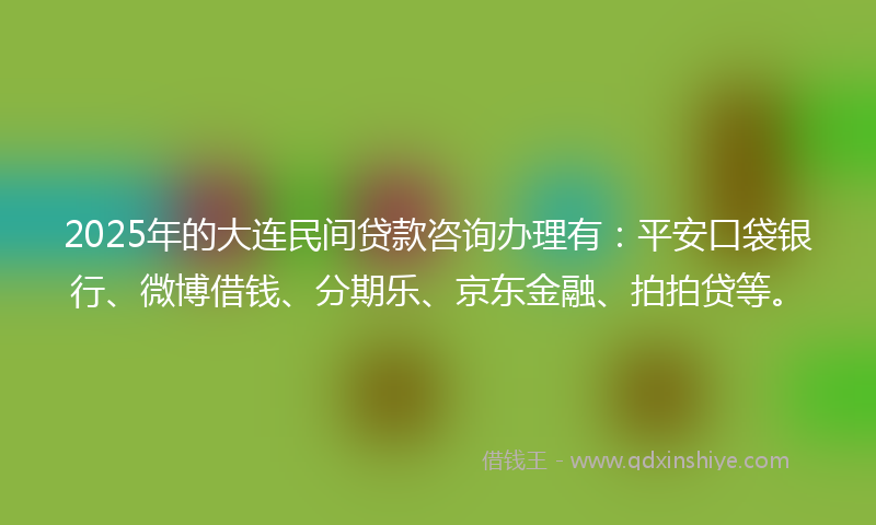 2025年的大连民间贷款咨询办理有：平安口袋银行、微博借钱、分期乐、京东金融、拍拍贷等。