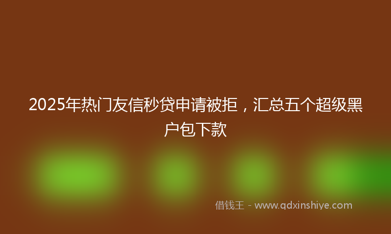 2025年热门友信秒贷申请被拒，汇总五个超级黑户包下款
