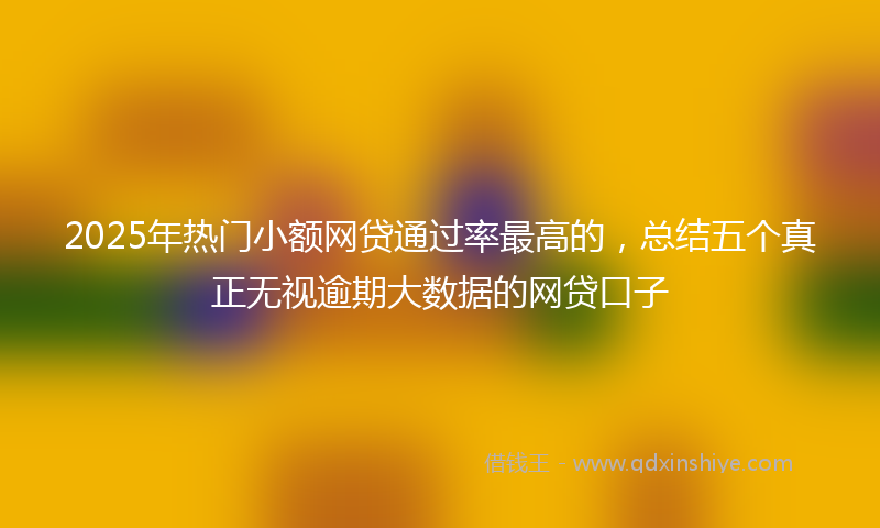 2025年热门小额网贷通过率最高的，总结五个真正无视逾期大数据的网贷口子
