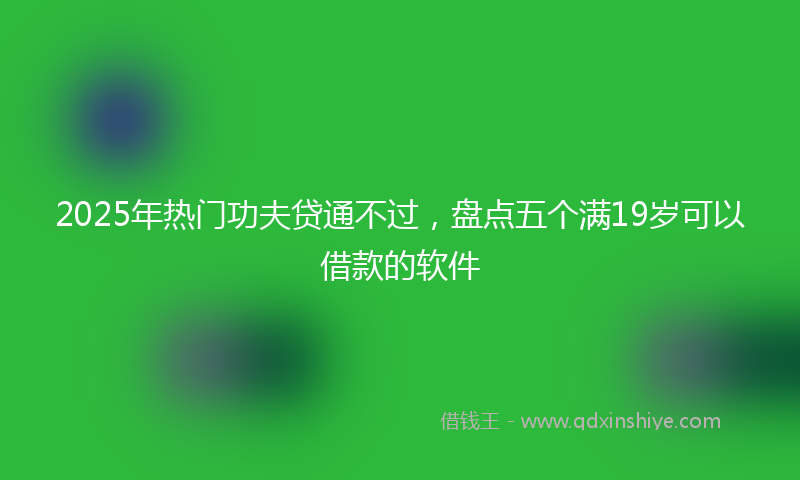 2025年热门功夫贷通不过，盘点五个满19岁可以借款的软件