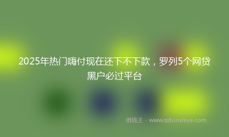 2025年热门嗨付现在还下不下款，罗列5个网贷黑户必过平台