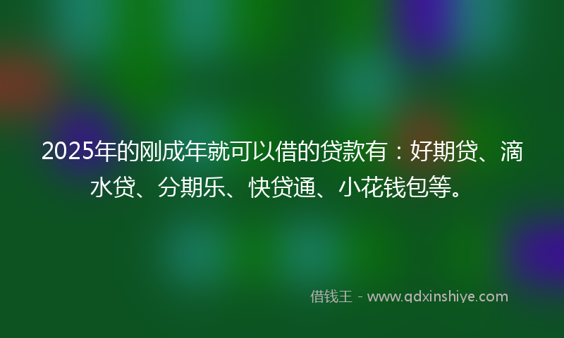 2025年的刚成年就可以借的贷款有：好期贷、滴水贷、分期乐、快贷通、小花钱包等。