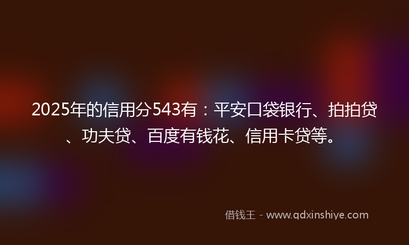 2025年的信用分543有：平安口袋银行、拍拍贷、功夫贷、百度有钱花、信用卡贷等。