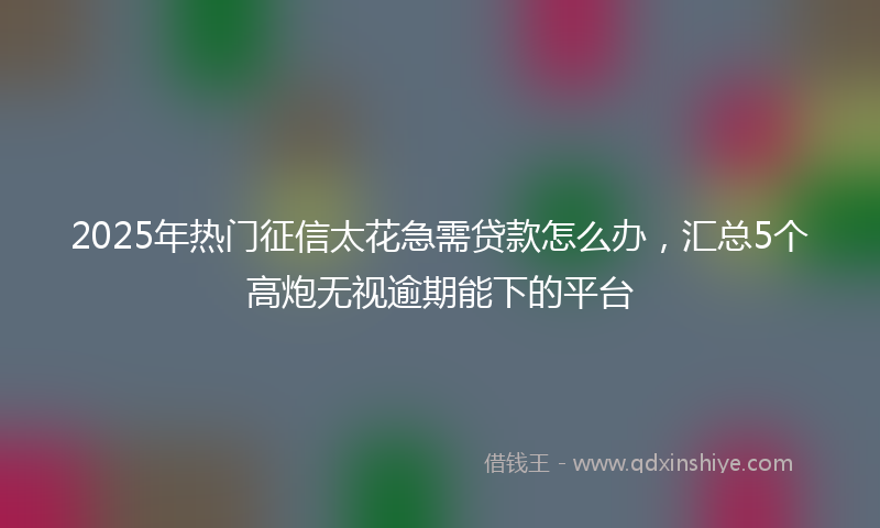 2025年热门征信太花急需贷款怎么办，汇总5个高炮无视逾期能下的平台