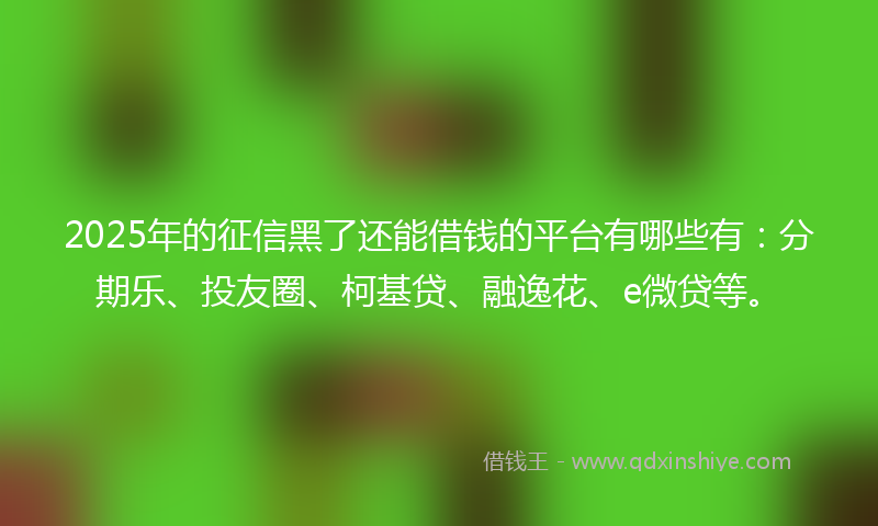 2025年的征信黑了还能借钱的平台有哪些有：分期乐、投友圈、柯基贷、融逸花、e微贷等。