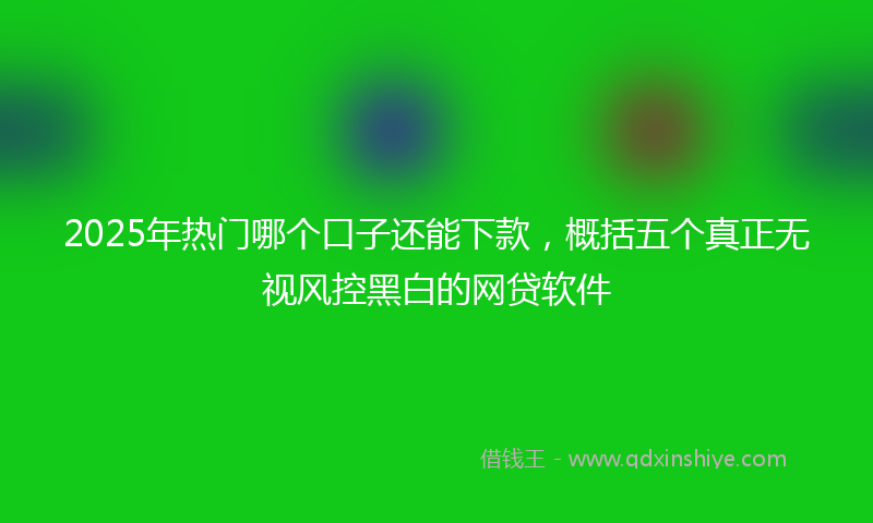 2025年热门哪个口子还能下款，概括五个真正无视风控黑白的网贷软件