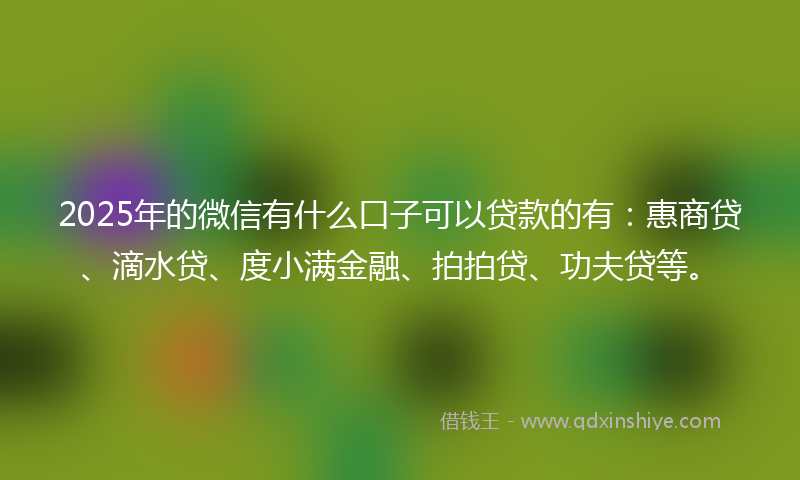 2025年的微信有什么口子可以贷款的有：惠商贷、滴水贷、度小满金融、拍拍贷、功夫贷等。