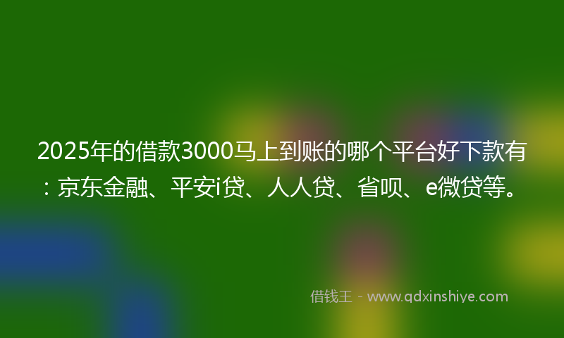 2025年的借款3000马上到账的哪个平台好下款有：京东金融、平安i贷、人人贷、省呗、e微贷等。