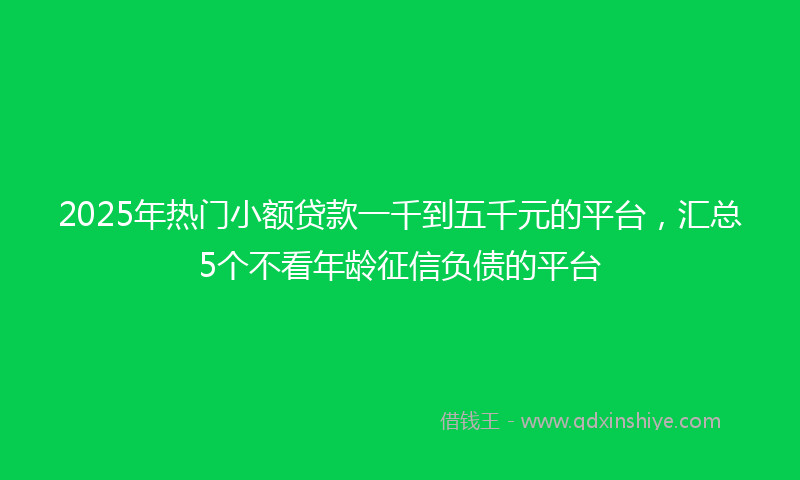 2025年热门小额贷款一千到五千元的平台，汇总5个不看年龄征信负债的平台