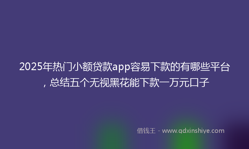 2025年热门小额贷款app容易下款的有哪些平台，总结五个无视黑花能下款一万元口子