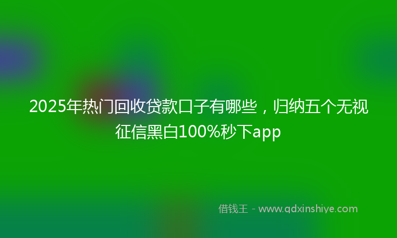 2025年热门回收贷款口子有哪些，归纳五个无视征信黑白100%秒下app
