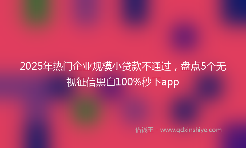 2025年热门企业规模小贷款不通过，盘点5个无视征信黑白100%秒下app