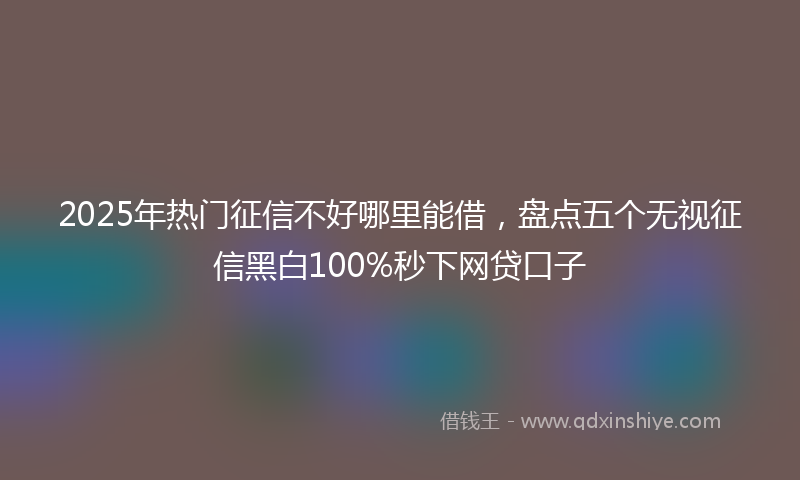 2025年热门征信不好哪里能借，盘点五个无视征信黑白100%秒下网贷口子