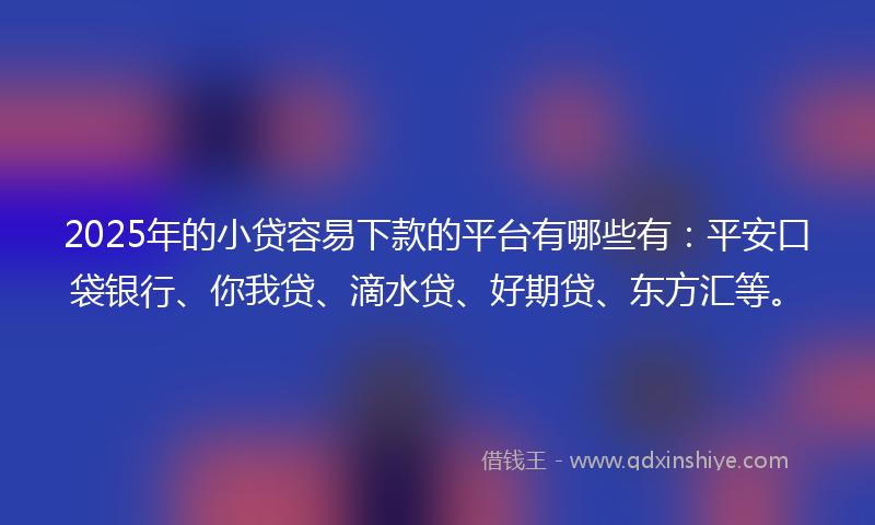 2025年的小贷容易下款的平台有哪些有：平安口袋银行、你我贷、滴水贷、好期贷、东方汇等。