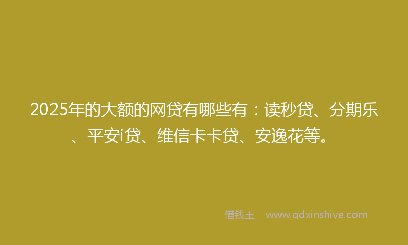 2025年的大额的网贷有哪些有：读秒贷、分期乐、平安i贷、维信卡卡贷、安逸花等。
