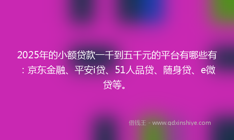 2025年的小额贷款一千到五千元的平台有哪些有：京东金融、平安i贷、51人品贷、随身贷、e微贷等。