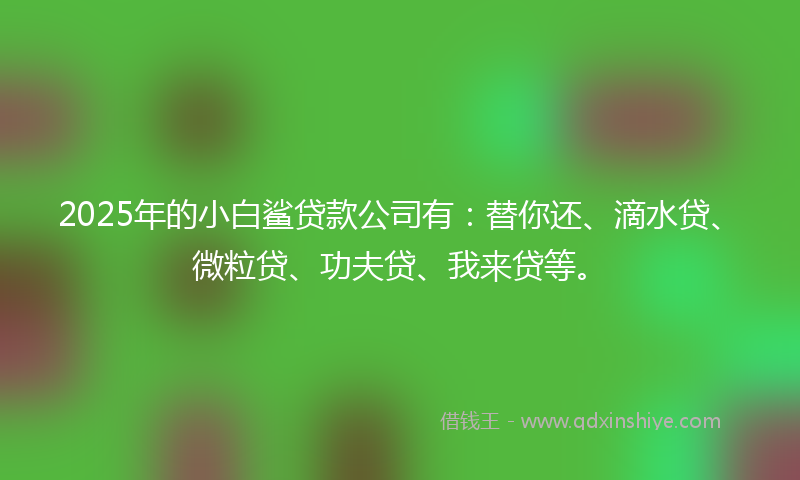 2025年的小白鲨贷款公司有：替你还、滴水贷、微粒贷、功夫贷、我来贷等。
