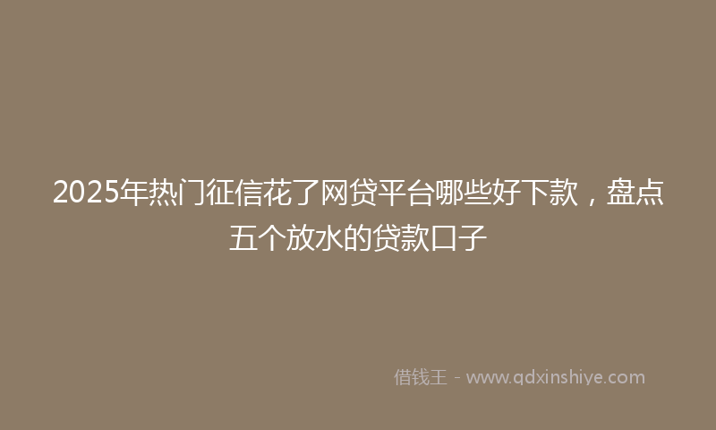 2025年热门征信花了网贷平台哪些好下款，盘点五个放水的贷款口子