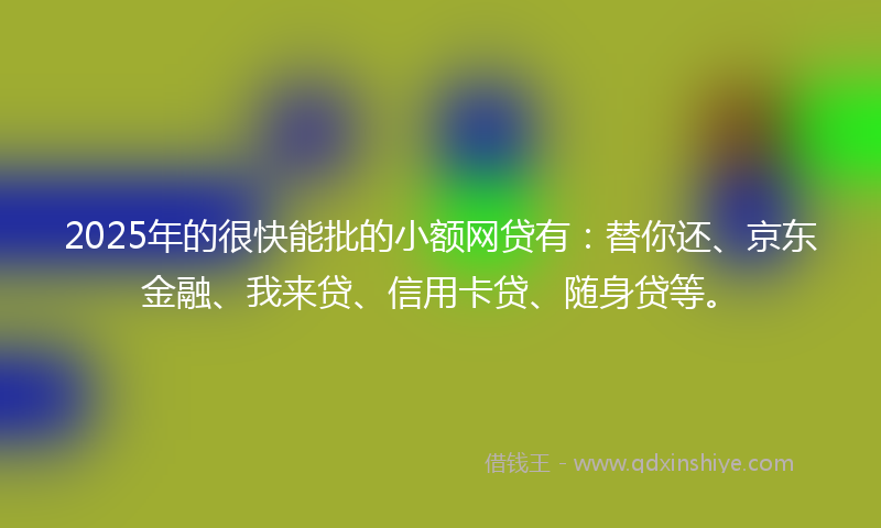2025年的很快能批的小额网贷有：替你还、京东金融、我来贷、信用卡贷、随身贷等。