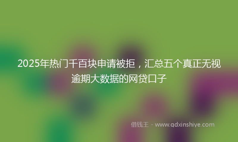 2025年热门千百块申请被拒，汇总五个真正无视逾期大数据的网贷口子