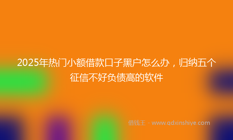 2025年热门小额借款口子黑户怎么办，归纳五个征信不好负债高的软件