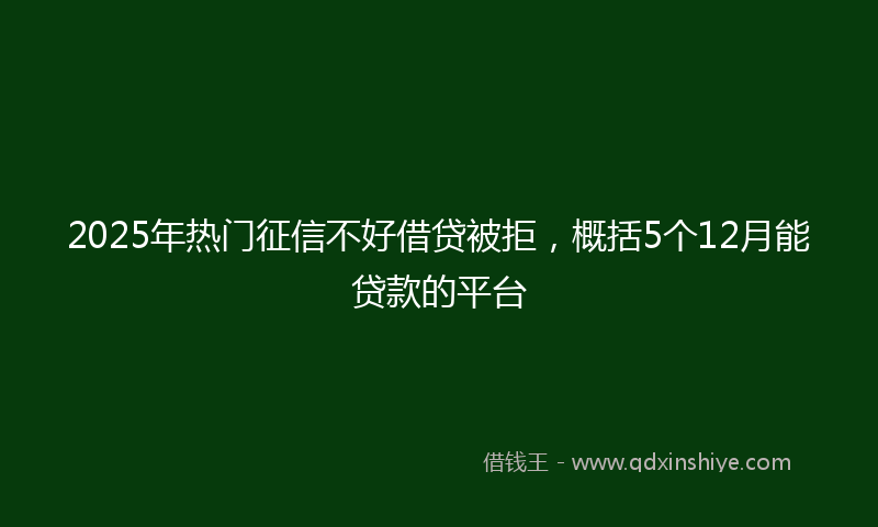 2025年热门征信不好借贷被拒，概括5个12月能贷款的平台