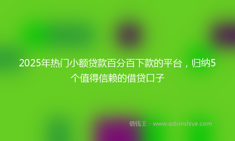 2025年热门小额贷款百分百下款的平台，归纳5个值得信赖的借贷口子