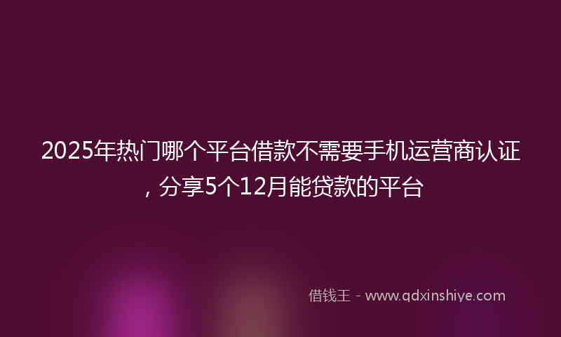 2025年热门哪个平台借款不需要手机运营商认证，分享5个12月能贷款的平台