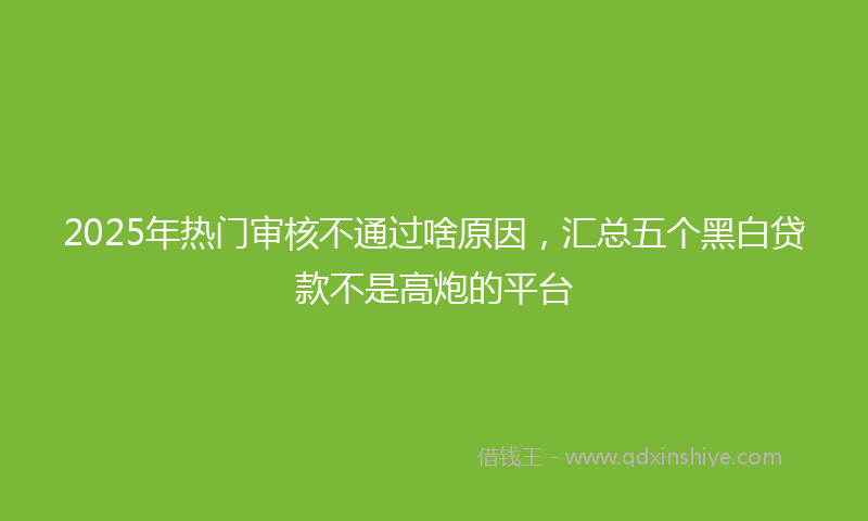 2025年热门审核不通过啥原因，汇总五个黑白贷款不是高炮的平台