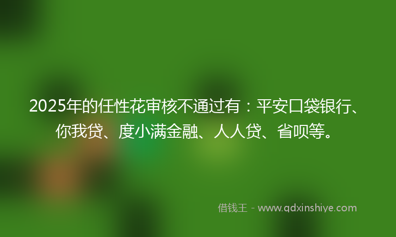 2025年的任性花审核不通过有：平安口袋银行、你我贷、度小满金融、人人贷、省呗等。