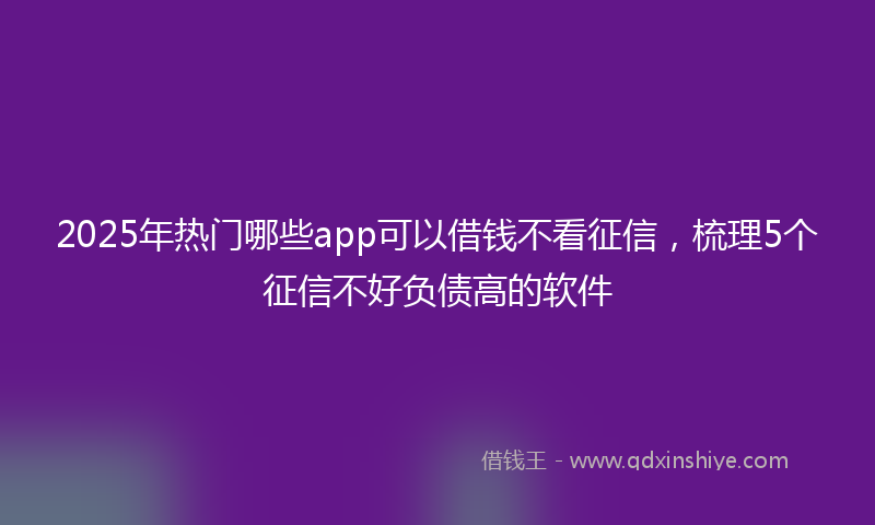 2025年热门哪些app可以借钱不看征信，梳理5个征信不好负债高的软件