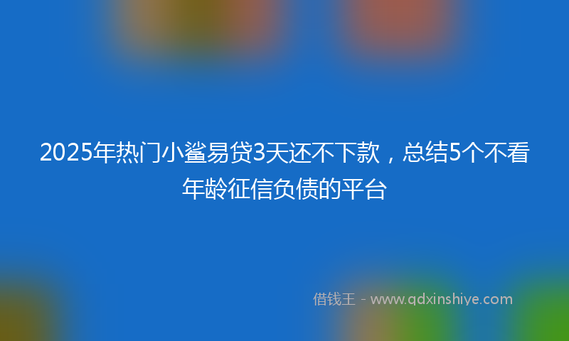 2025年热门小鲨易贷3天还不下款，总结5个不看年龄征信负债的平台