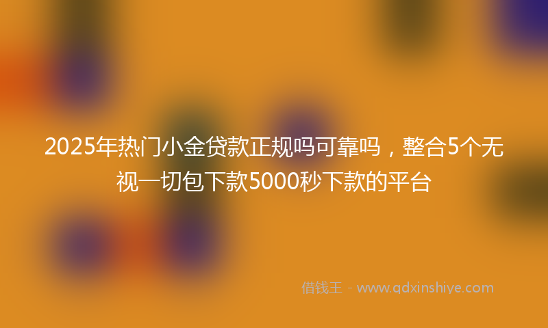 2025年热门小金贷款正规吗可靠吗，整合5个无视一切包下款5000秒下款的平台