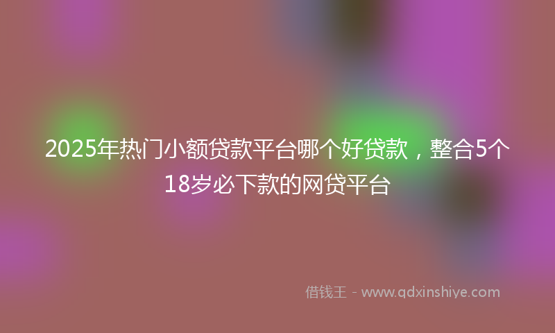 2025年热门小额贷款平台哪个好贷款，整合5个18岁必下款的网贷平台