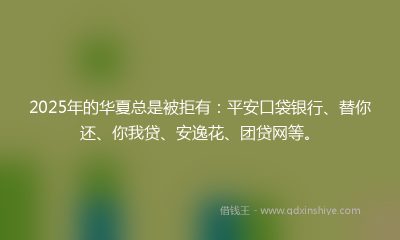 2025年的华夏总是被拒有：平安口袋银行、替你还、你我贷、安逸花、团贷网等。