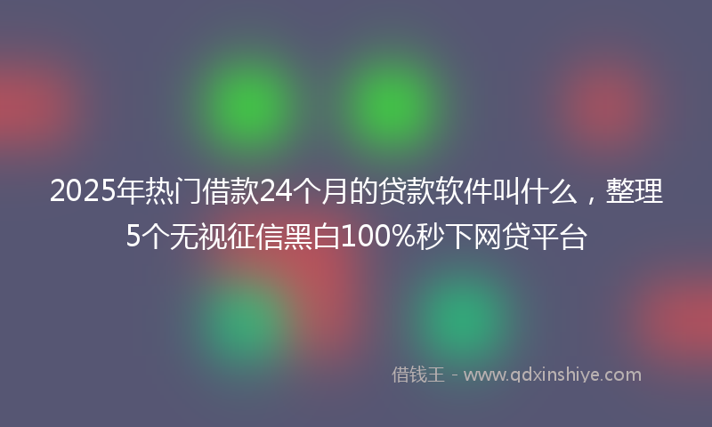 2025年热门借款24个月的贷款软件叫什么，整理5个无视征信黑白100%秒下网贷平台