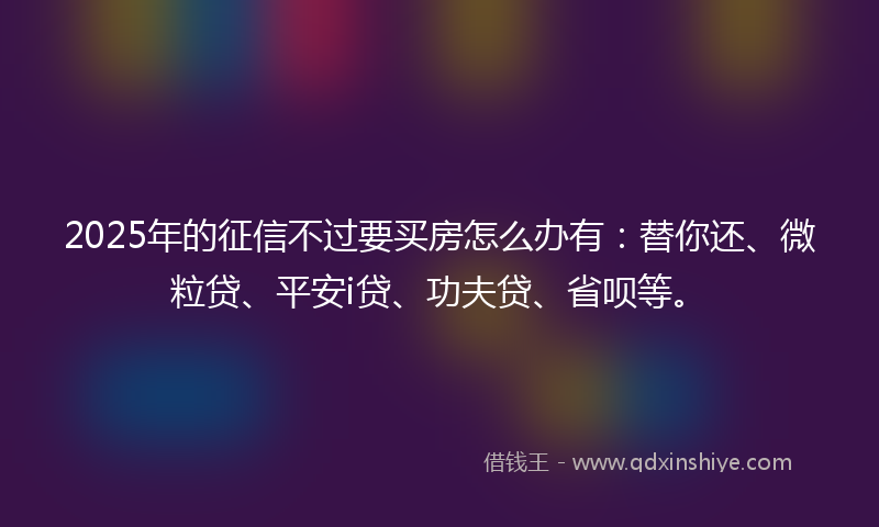 2025年的征信不过要买房怎么办有：替你还、微粒贷、平安i贷、功夫贷、省呗等。