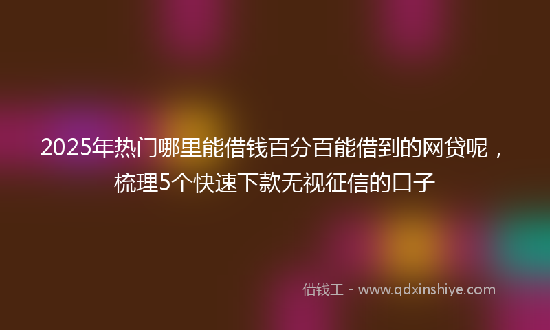 2025年热门哪里能借钱百分百能借到的网贷呢，梳理5个快速下款无视征信的口子