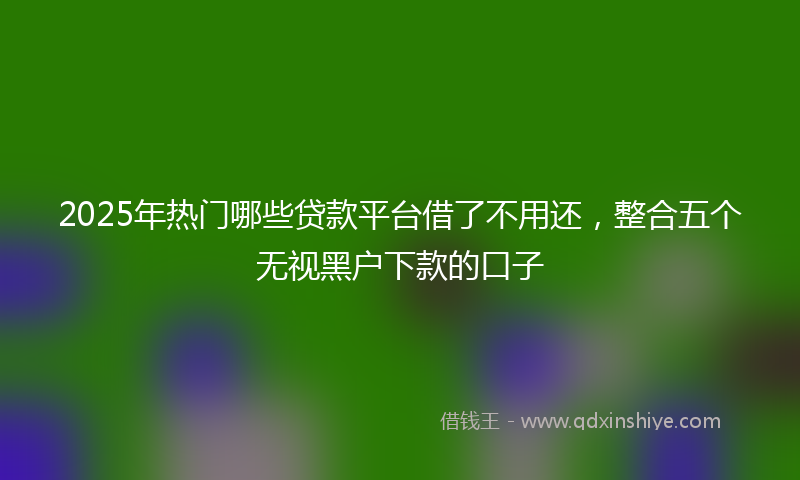 2025年热门哪些贷款平台借了不用还，整合五个无视黑户下款的口子