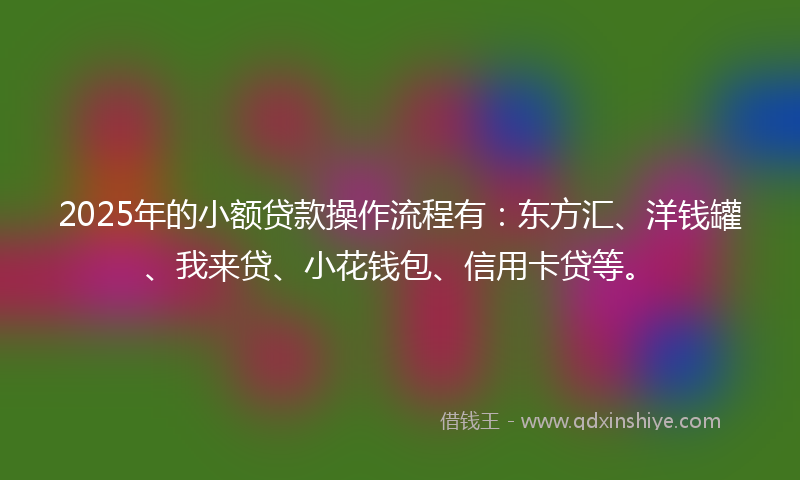 2025年的小额贷款操作流程有：东方汇、洋钱罐、我来贷、小花钱包、信用卡贷等。