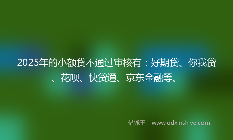 2025年的小额贷不通过审核有：好期贷、你我贷、花呗、快贷通、京东金融等。