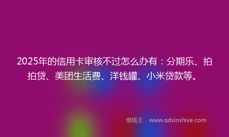 2025年的信用卡审核不过怎么办有：分期乐、拍拍贷、美团生活费、洋钱罐、小米贷款等。